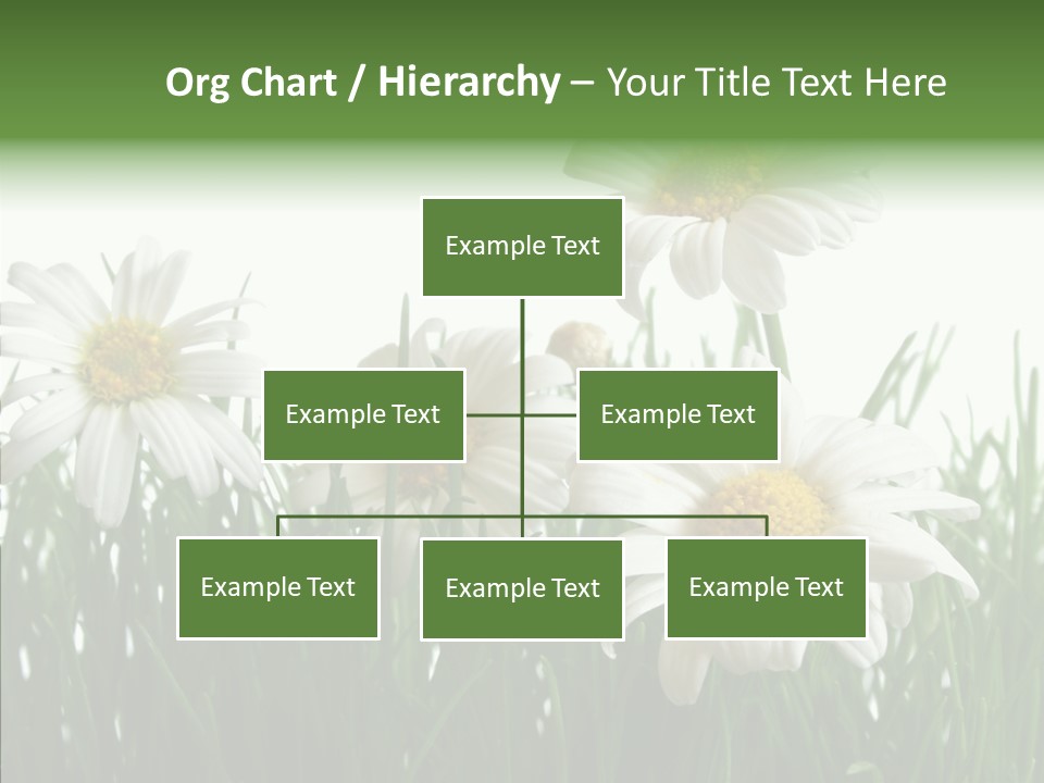 Flower Growth Grass PowerPoint Template
