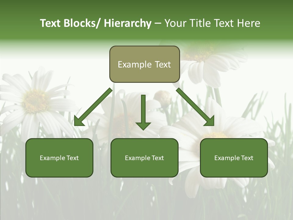 Flower Growth Grass PowerPoint Template