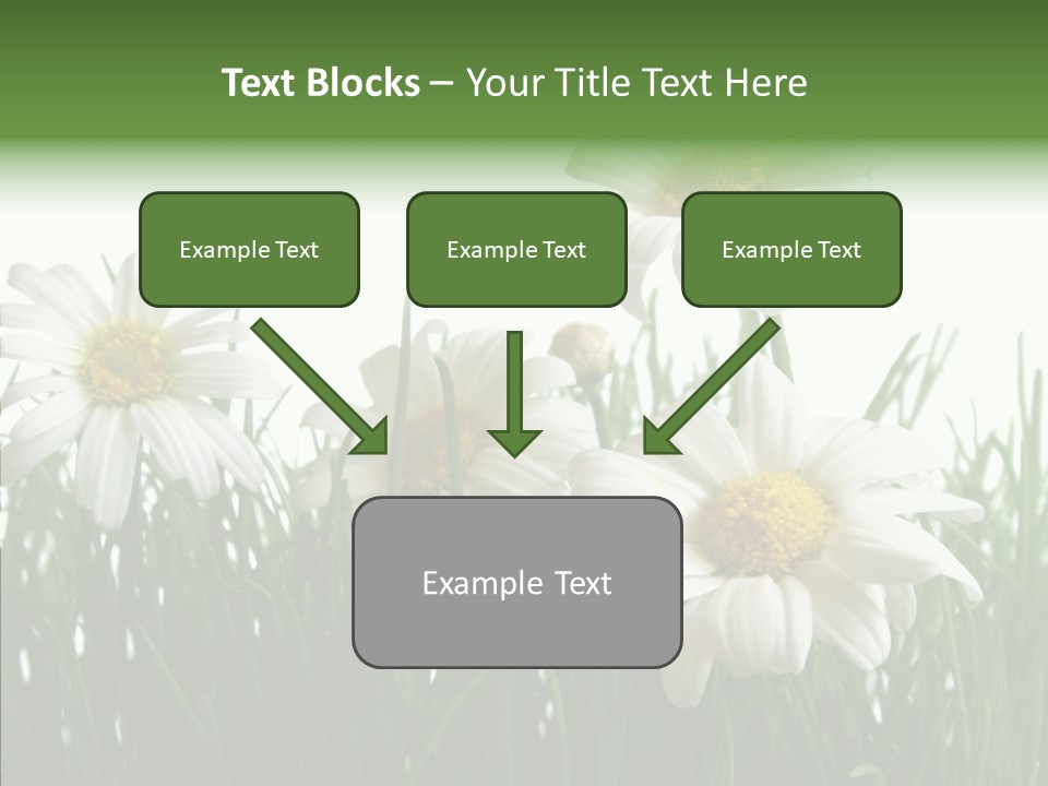 Flower Growth Grass PowerPoint Template
