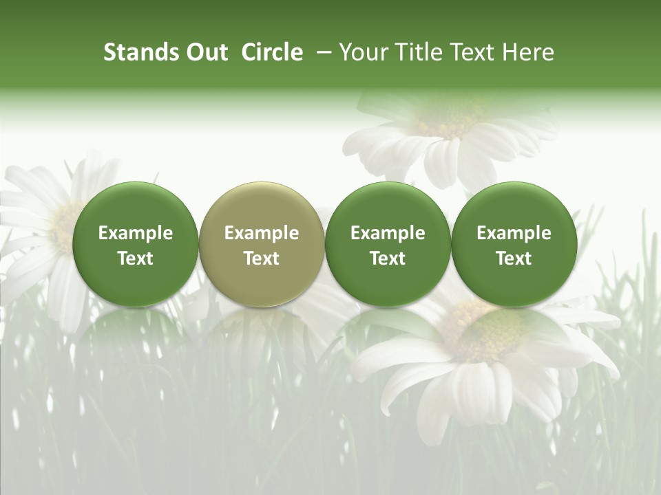 Flower Growth Grass PowerPoint Template