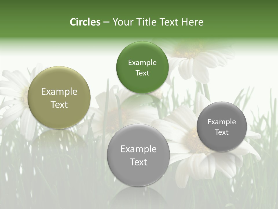 Flower Growth Grass PowerPoint Template