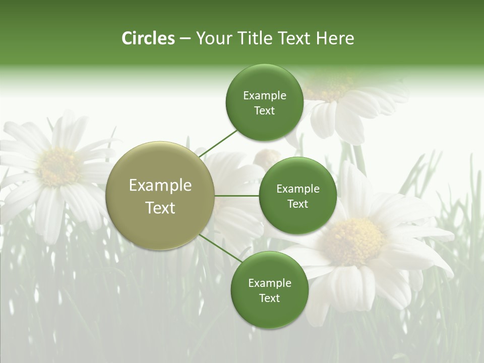 Flower Growth Grass PowerPoint Template