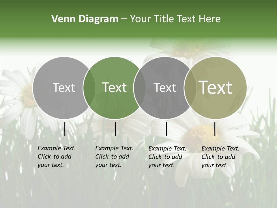 Flower Growth Grass PowerPoint Template