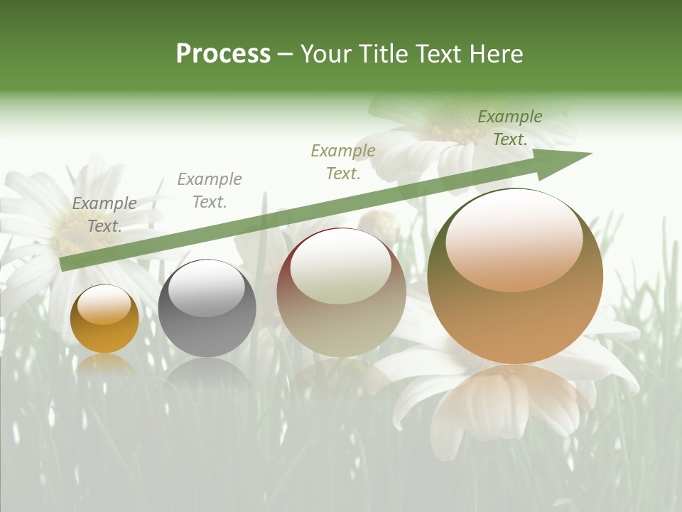 Flower Growth Grass PowerPoint Template