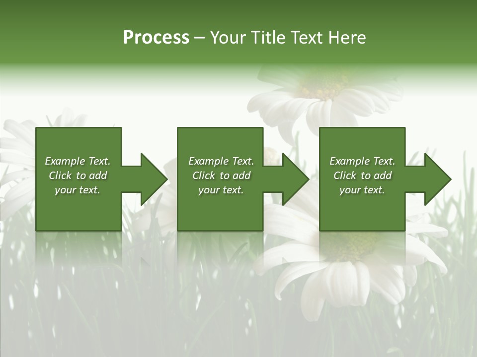 Flower Growth Grass PowerPoint Template