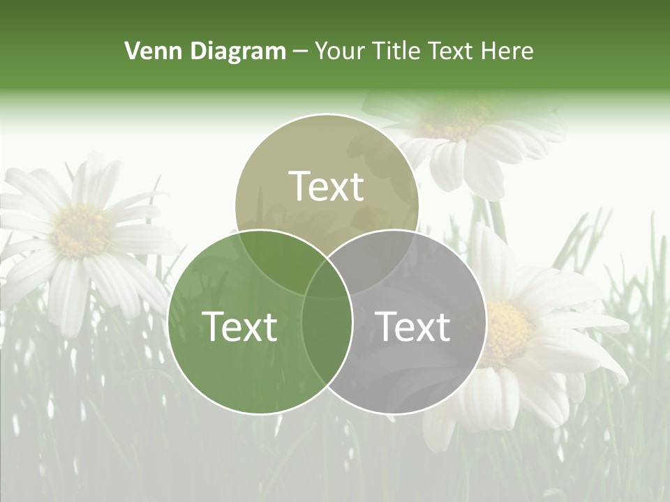 Flower Growth Grass PowerPoint Template