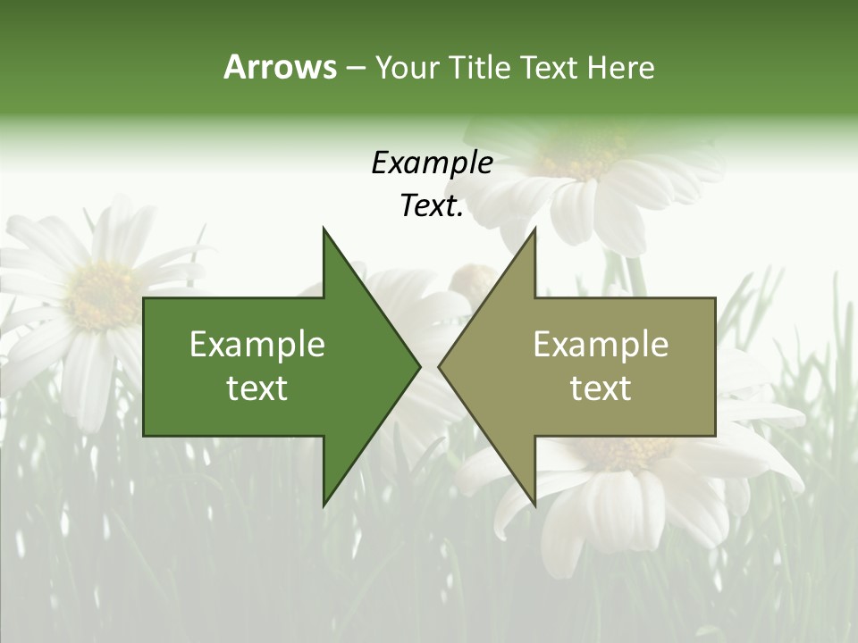 Flower Growth Grass PowerPoint Template