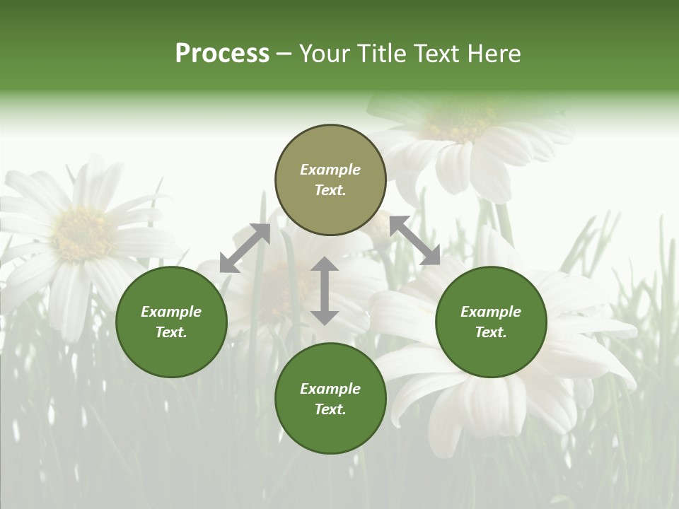 Flower Growth Grass PowerPoint Template