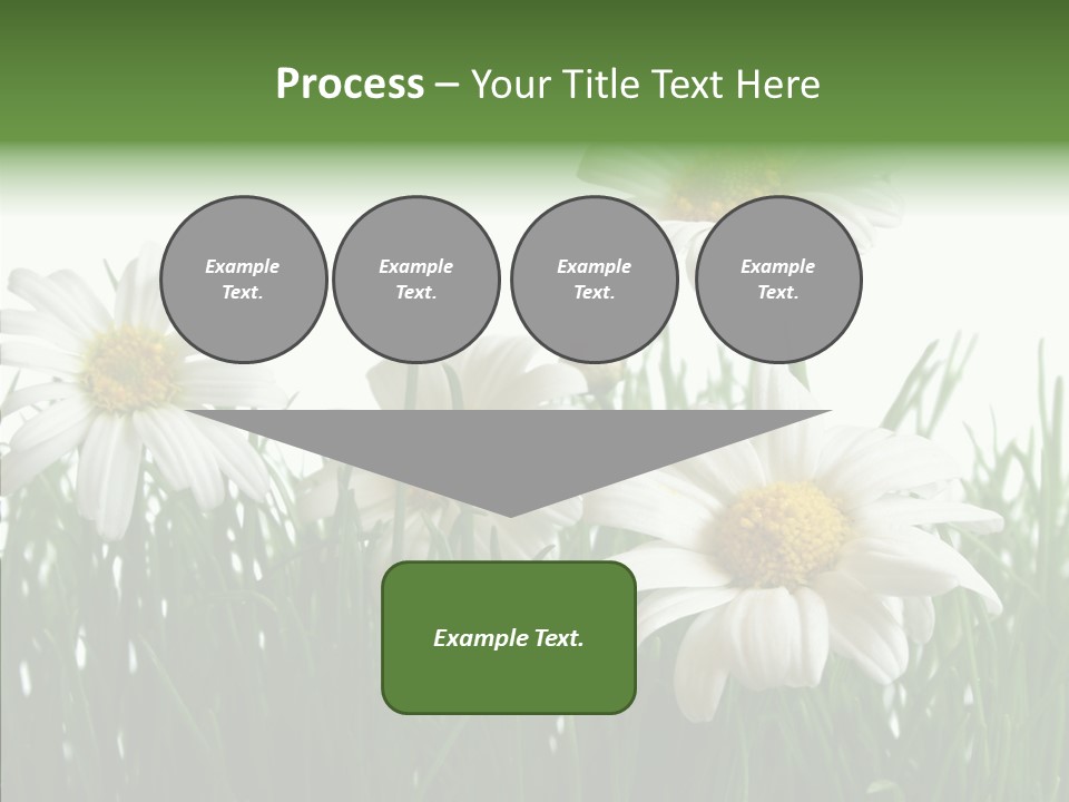 Flower Growth Grass PowerPoint Template