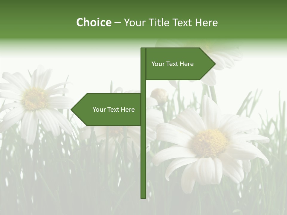 Flower Growth Grass PowerPoint Template