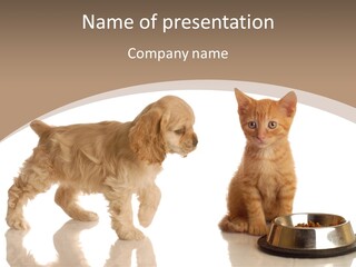 Mammal Spoiled Cute PowerPoint Template