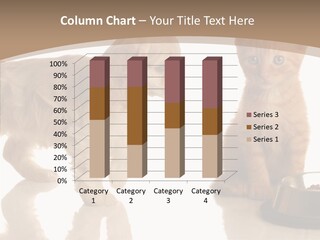 Mammal Spoiled Cute PowerPoint Template