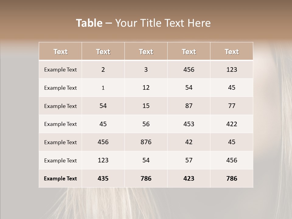 Group Figure Boardroom PowerPoint Template