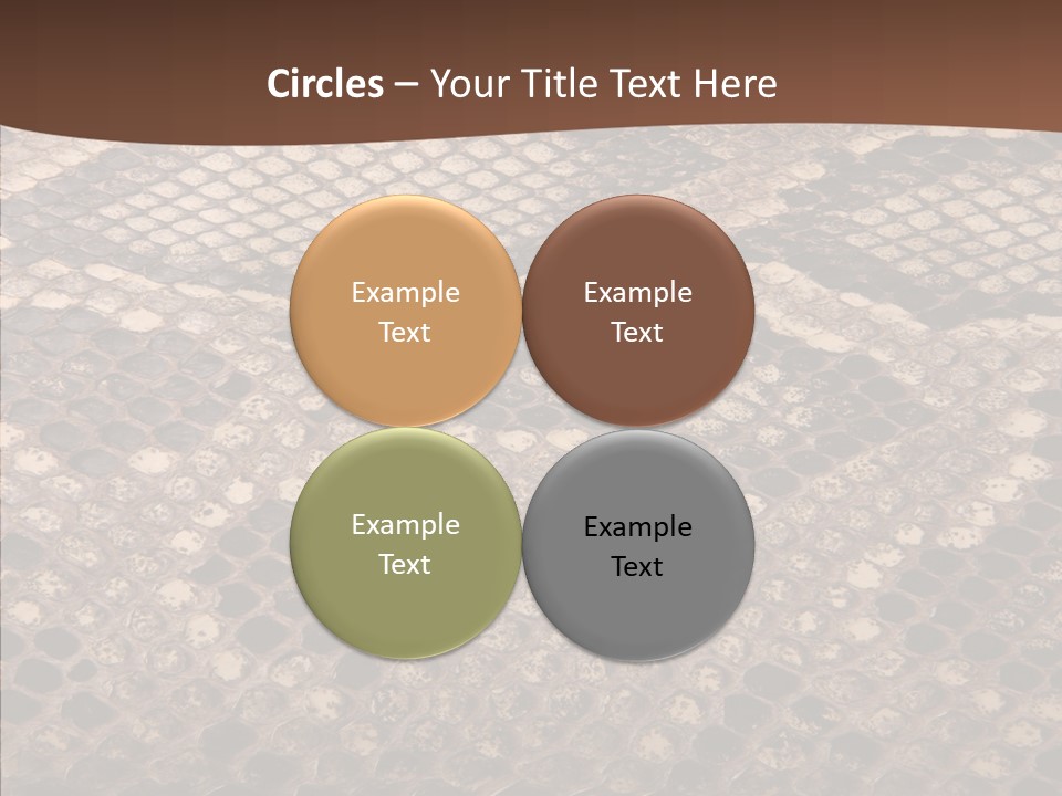 Rough Effect Organism PowerPoint Template