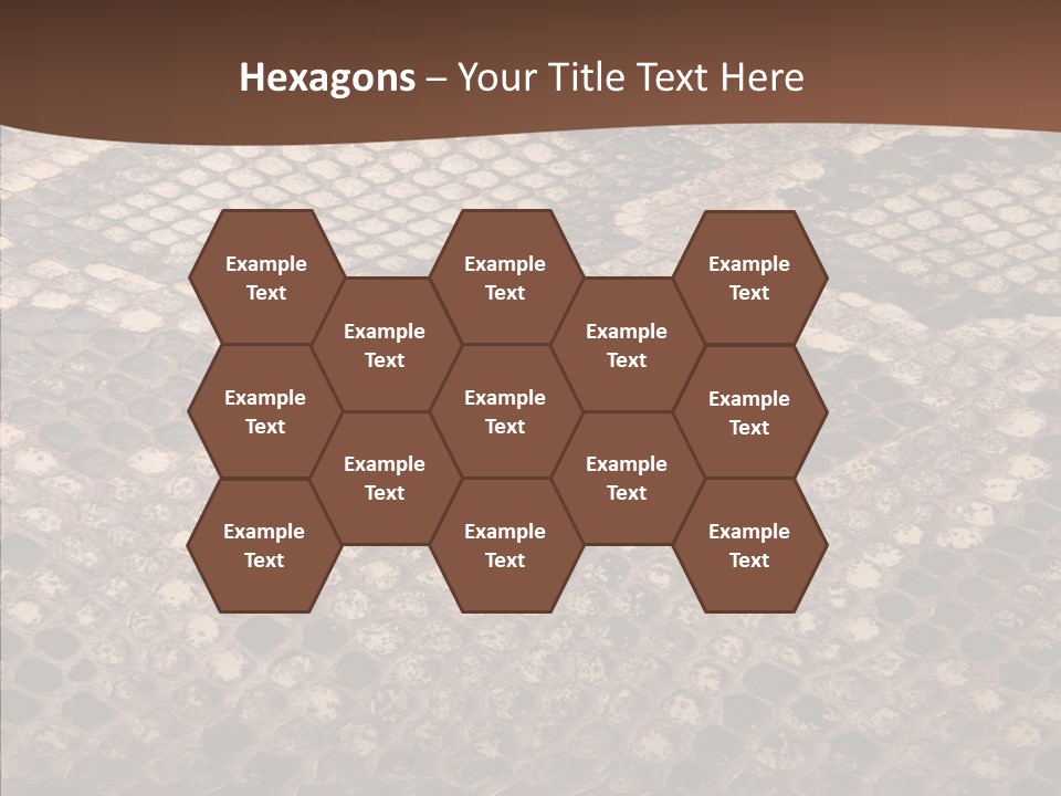 Rough Effect Organism PowerPoint Template