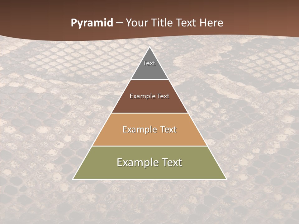 Rough Effect Organism PowerPoint Template