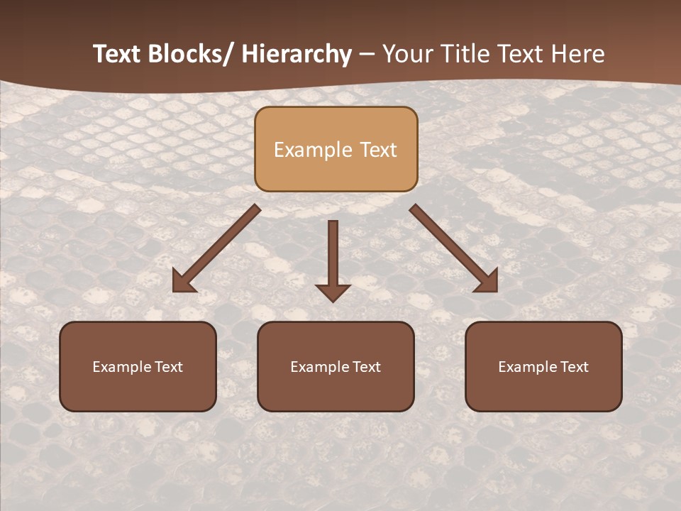Rough Effect Organism PowerPoint Template