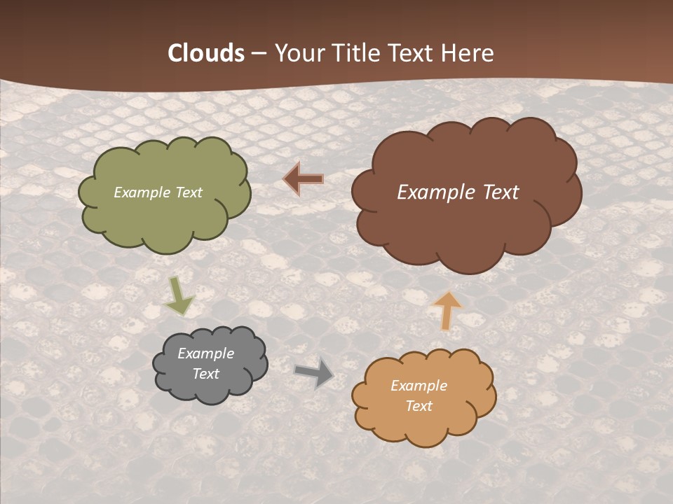 Rough Effect Organism PowerPoint Template