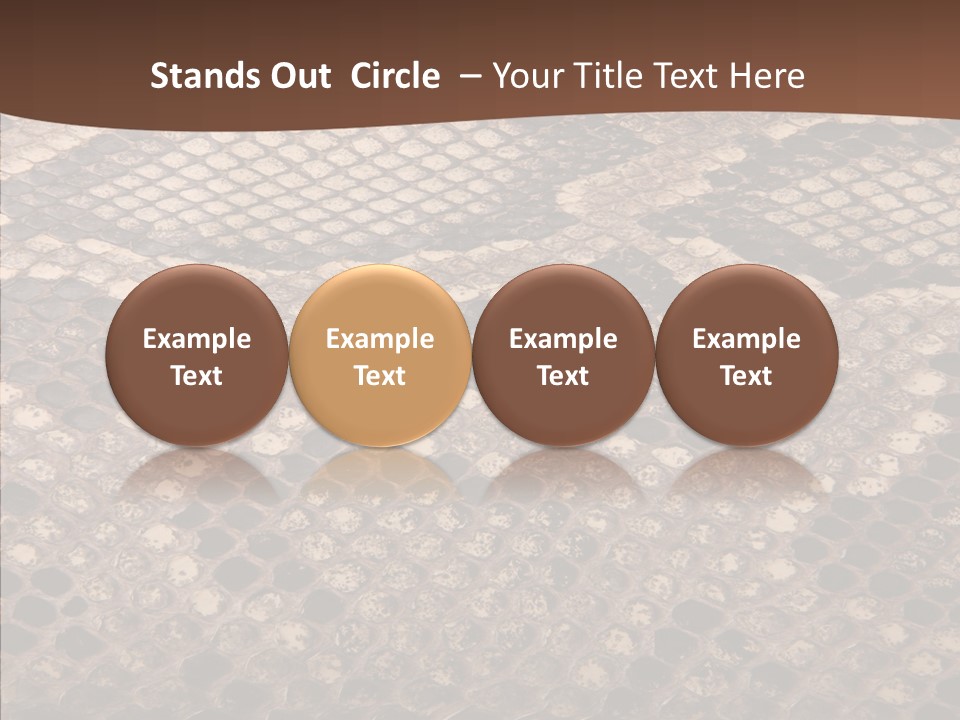 Rough Effect Organism PowerPoint Template