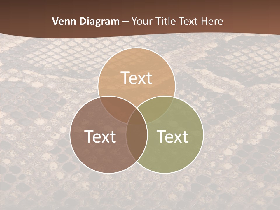 Rough Effect Organism PowerPoint Template