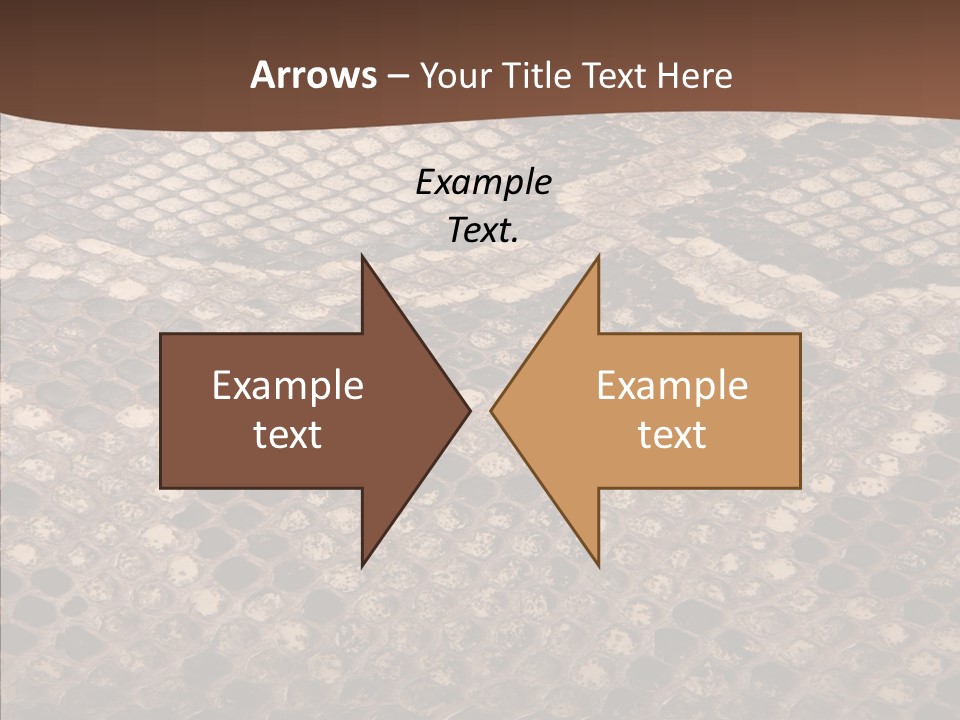 Rough Effect Organism PowerPoint Template