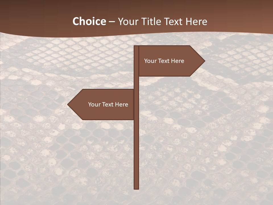 Rough Effect Organism PowerPoint Template