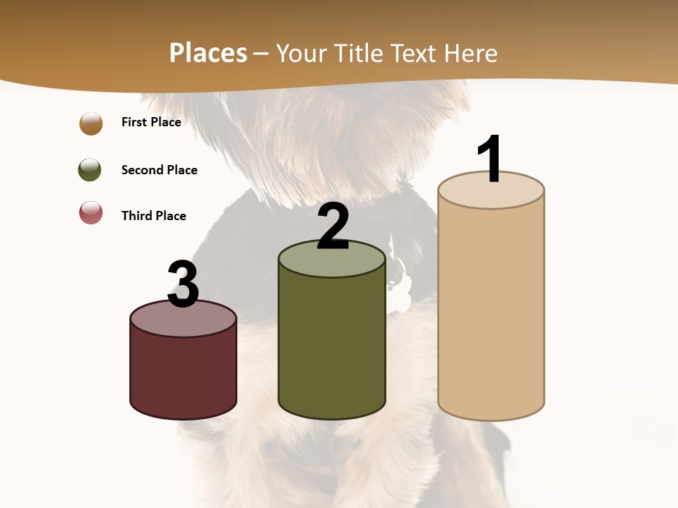 Domestic White Front PowerPoint Template