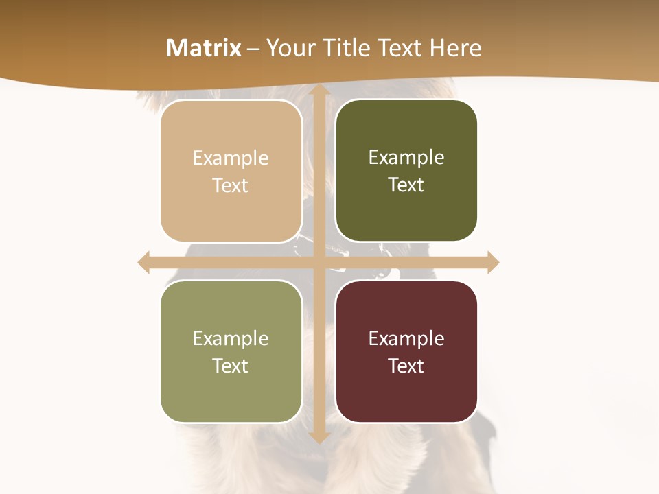 Domestic White Front PowerPoint Template