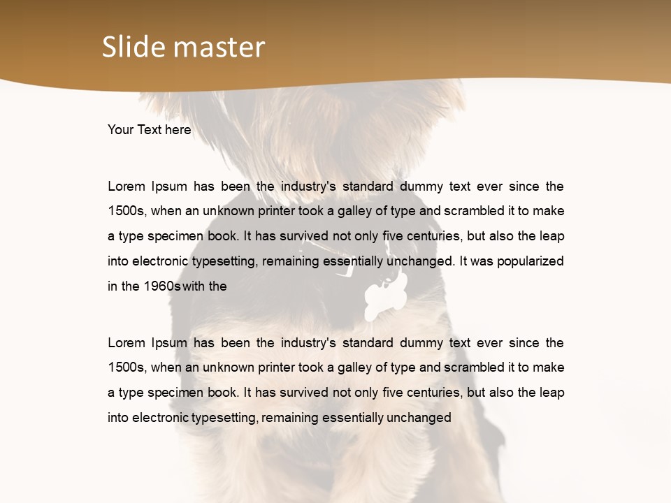 Domestic White Front PowerPoint Template