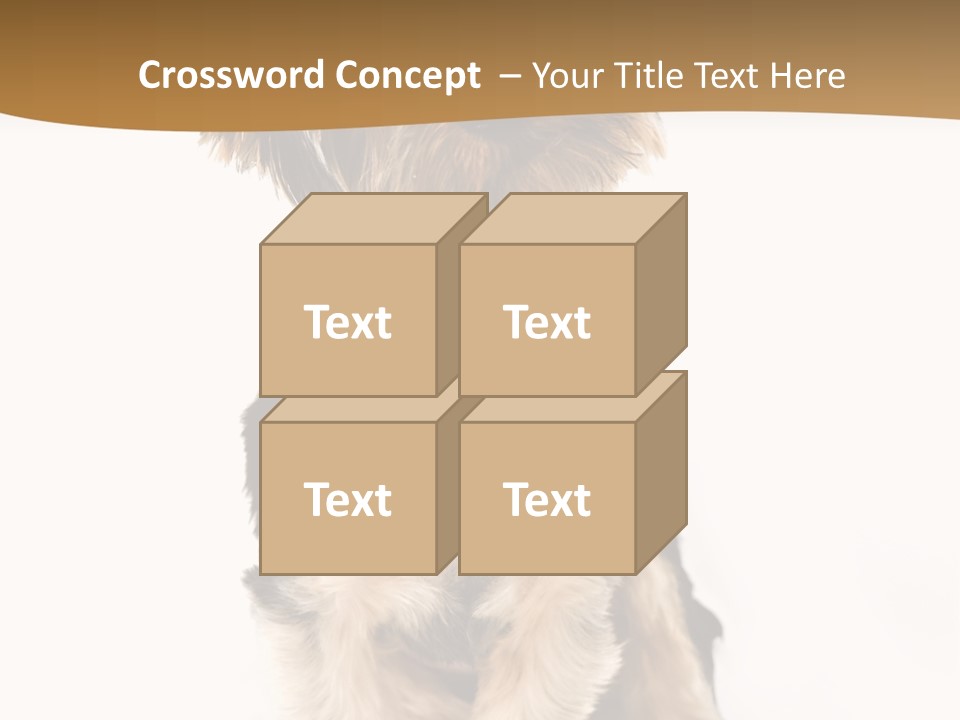 Domestic White Front PowerPoint Template