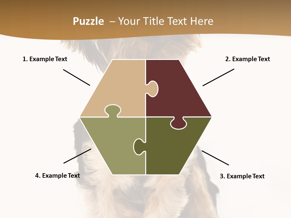 Domestic White Front PowerPoint Template