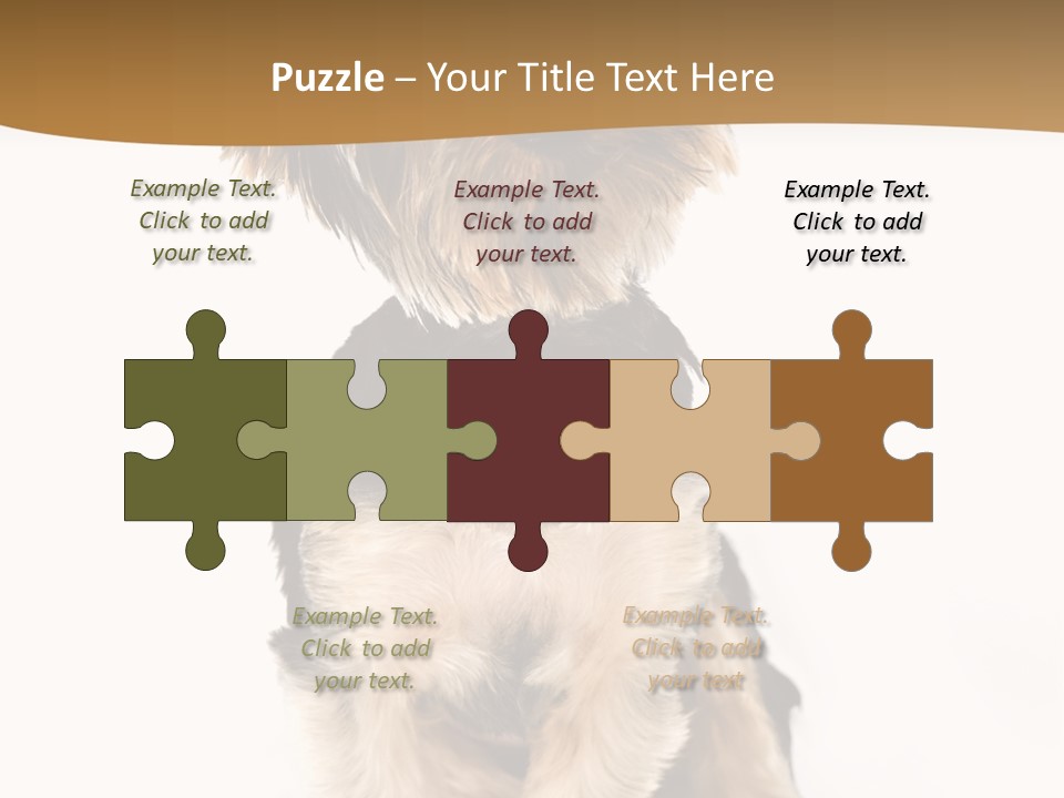 Domestic White Front PowerPoint Template