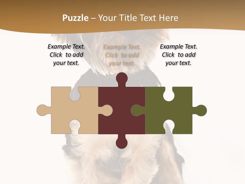 Domestic White Front PowerPoint Template