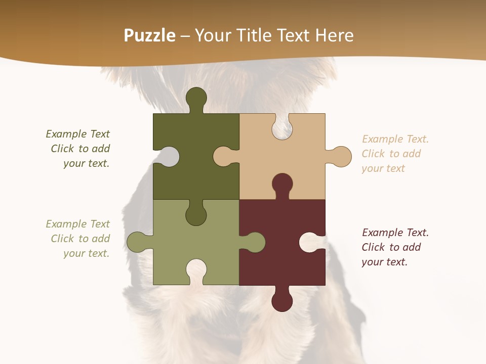 Domestic White Front PowerPoint Template