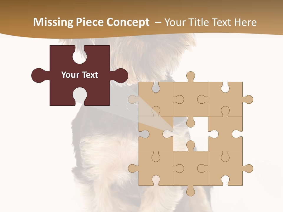 Domestic White Front PowerPoint Template