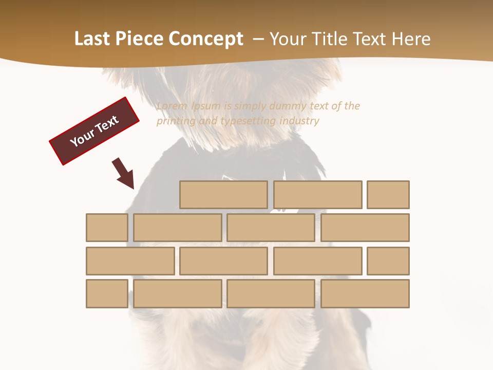 Domestic White Front PowerPoint Template