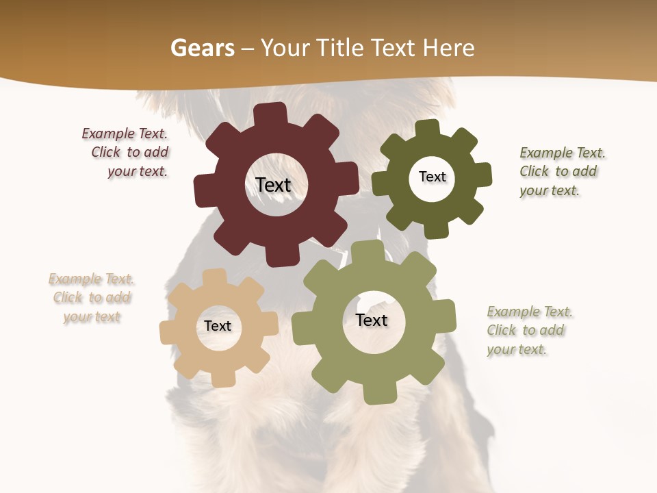 Domestic White Front PowerPoint Template