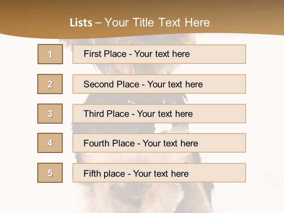 Domestic White Front PowerPoint Template