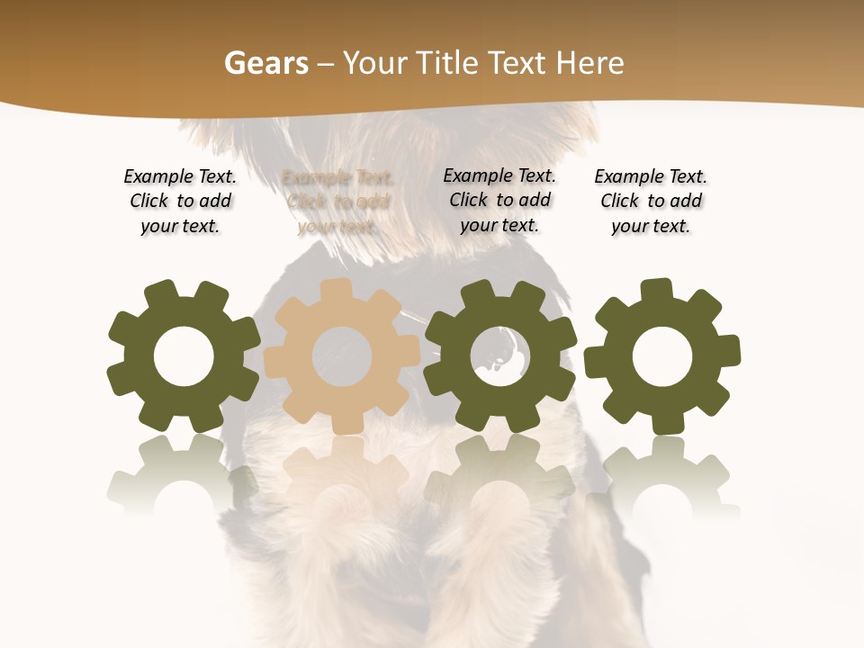 Domestic White Front PowerPoint Template