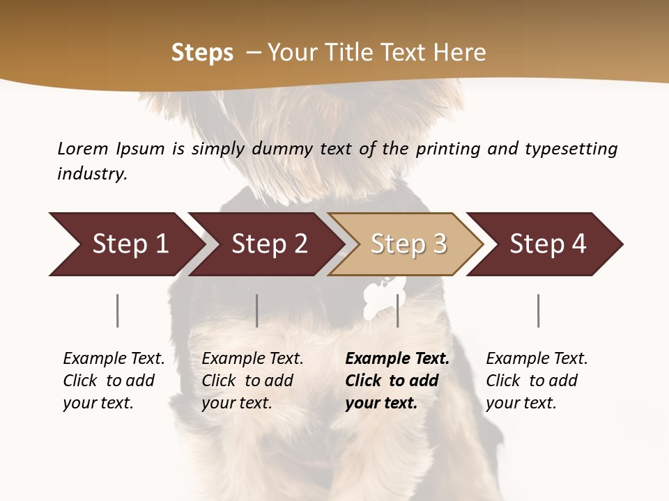 Domestic White Front PowerPoint Template