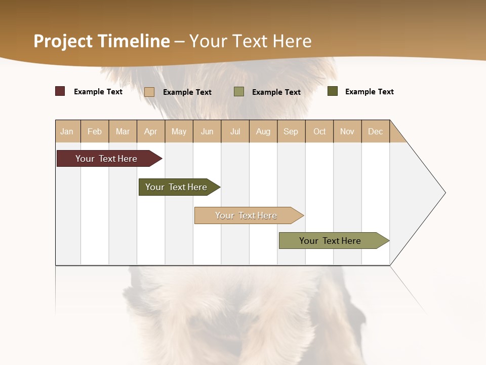 Domestic White Front PowerPoint Template