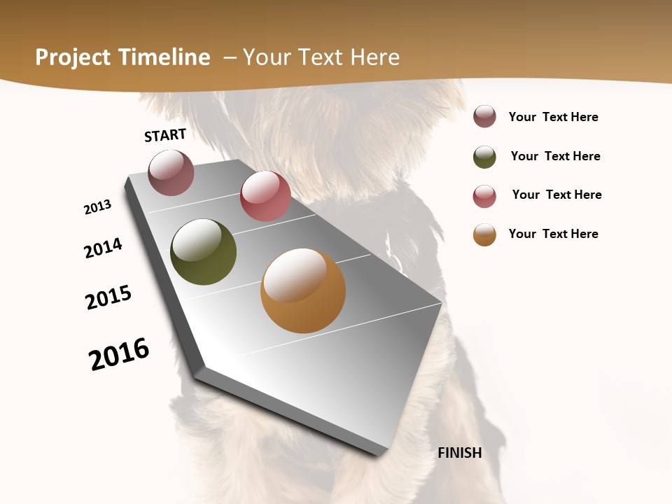 Domestic White Front PowerPoint Template