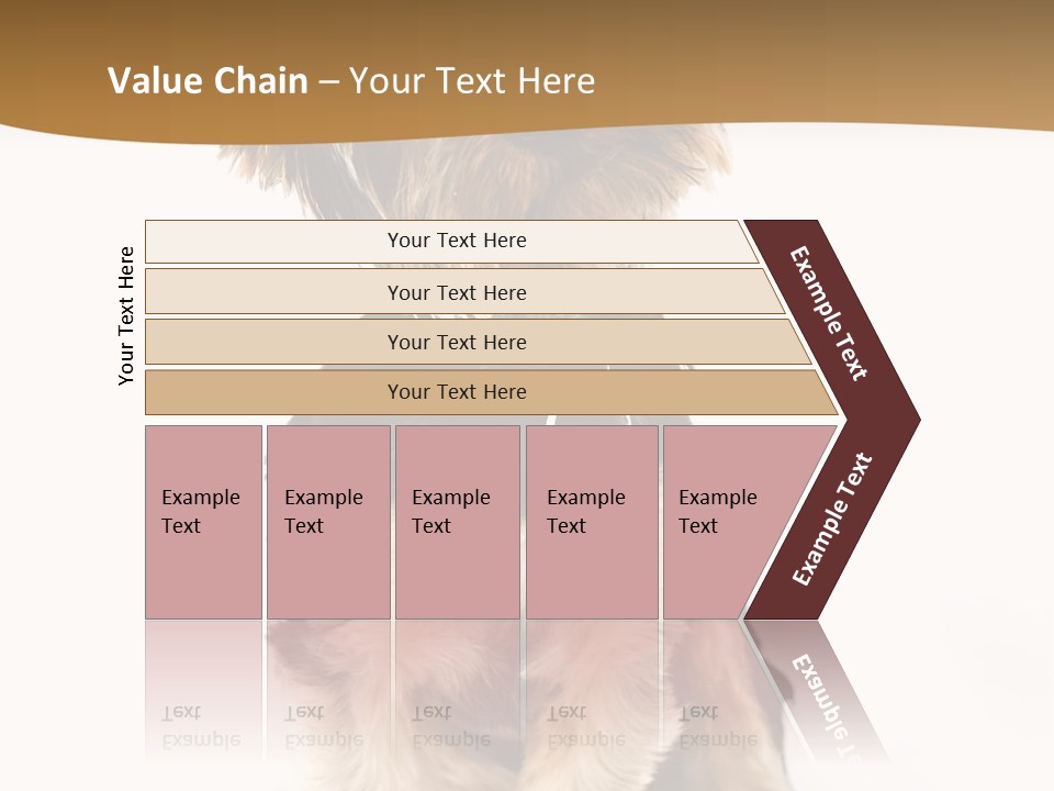 Domestic White Front PowerPoint Template