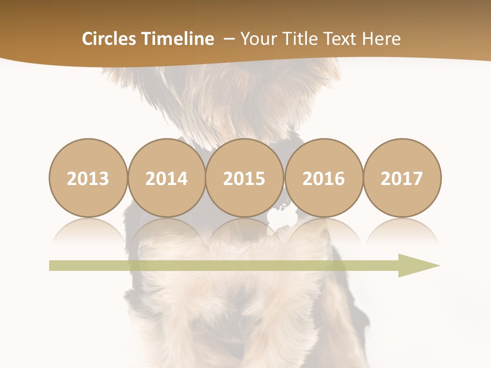 Domestic White Front PowerPoint Template