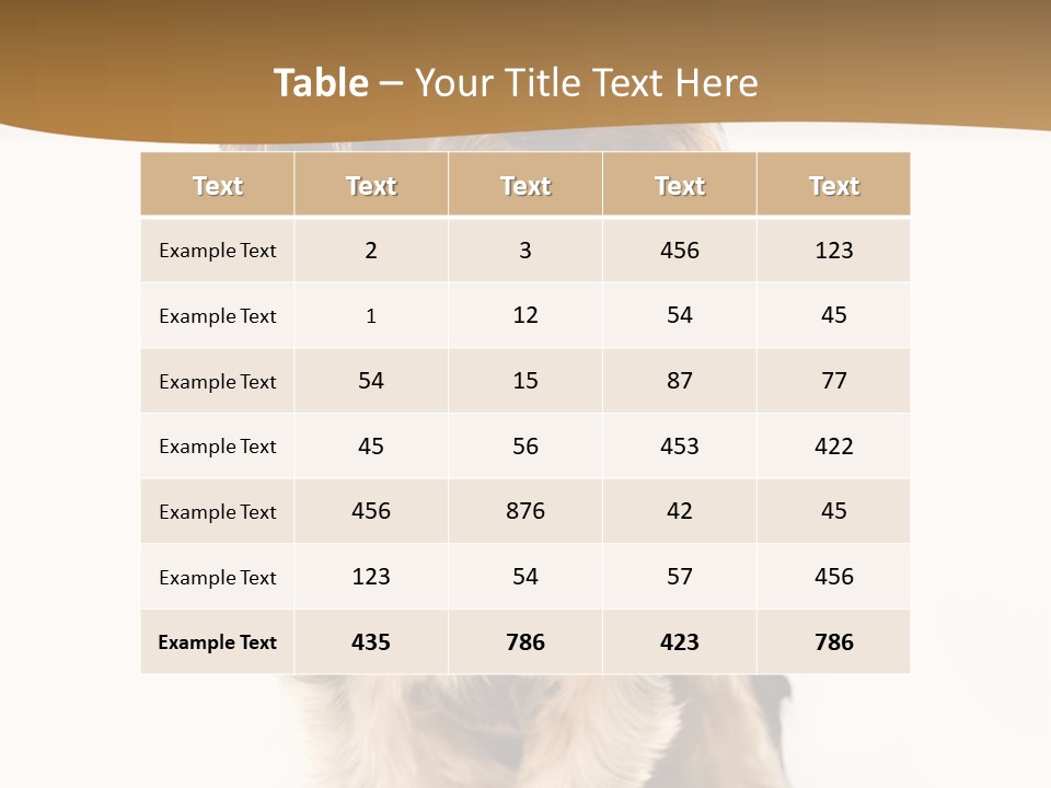 Domestic White Front PowerPoint Template