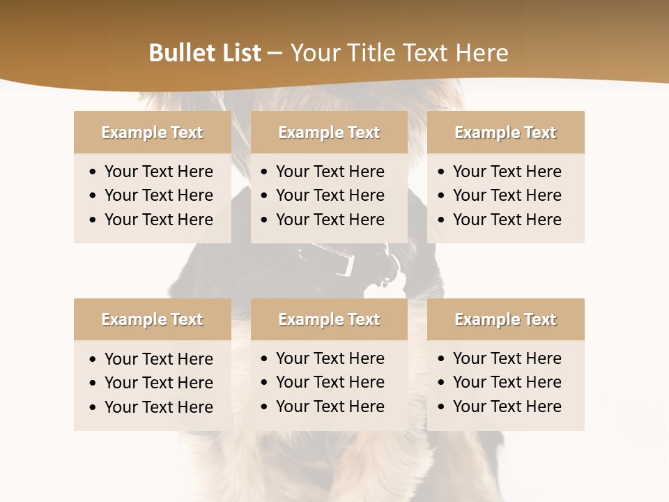 Domestic White Front PowerPoint Template