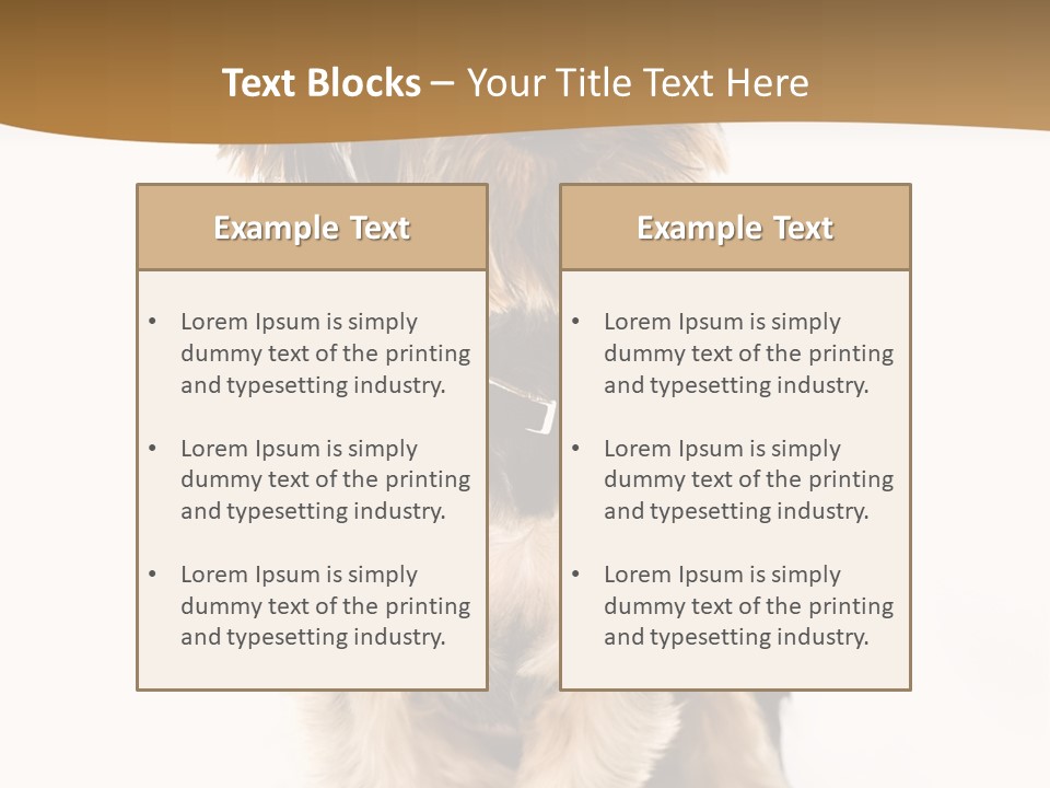 Domestic White Front PowerPoint Template