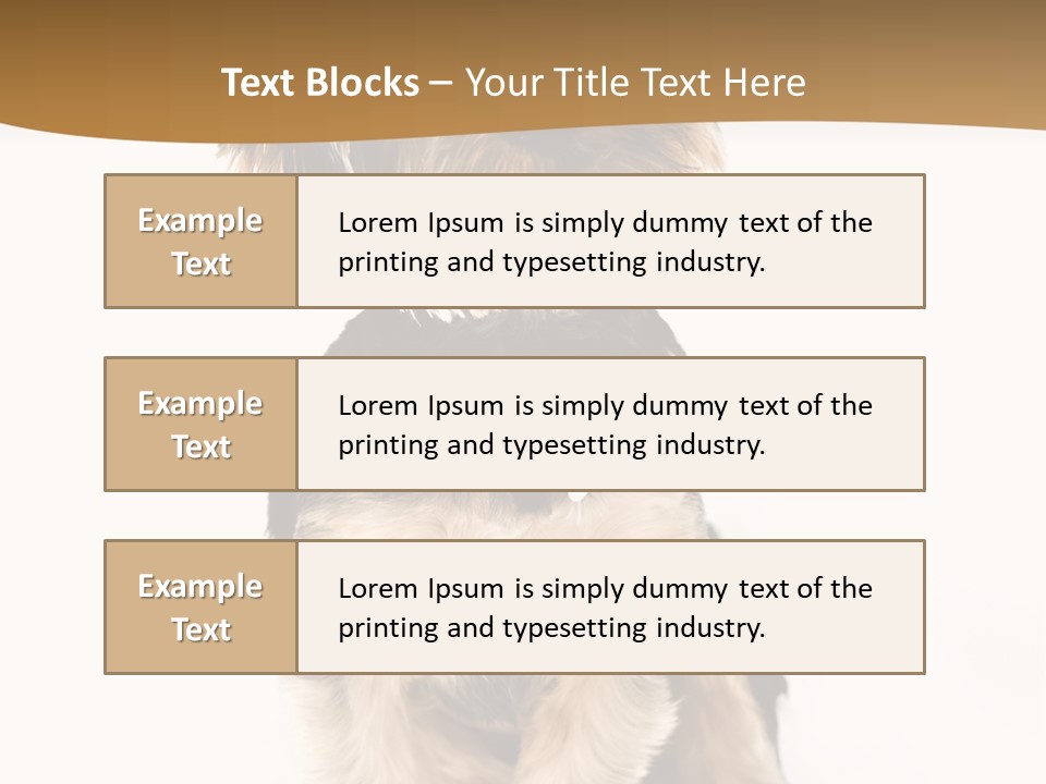 Domestic White Front PowerPoint Template
