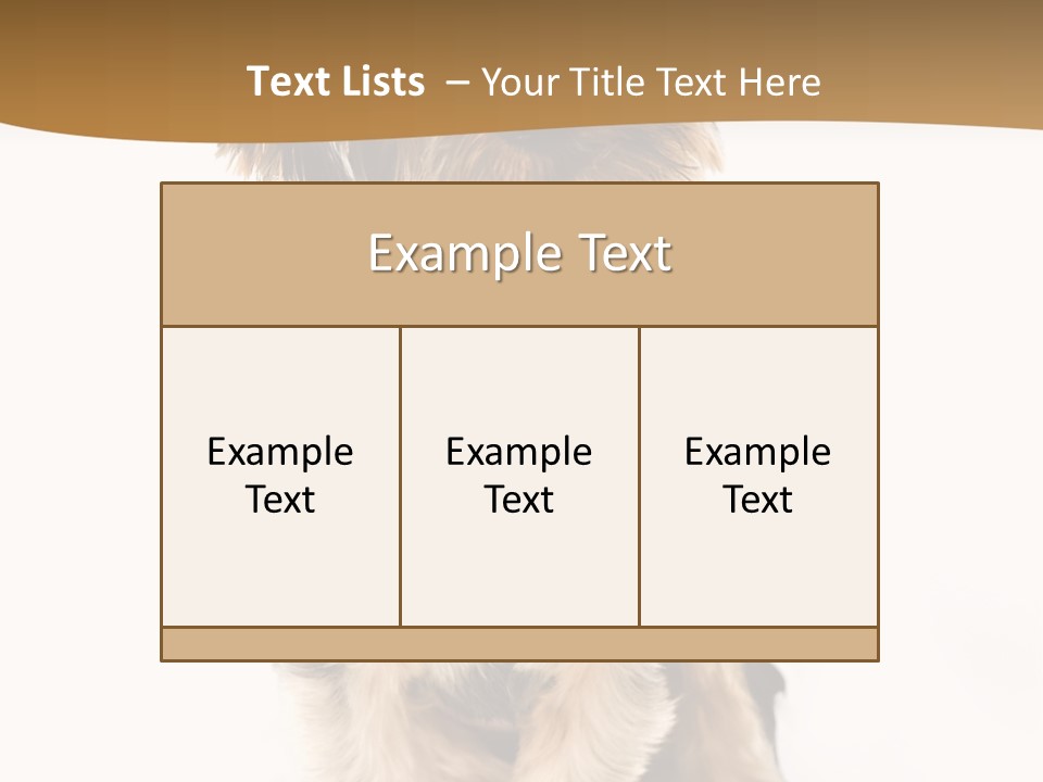 Domestic White Front PowerPoint Template