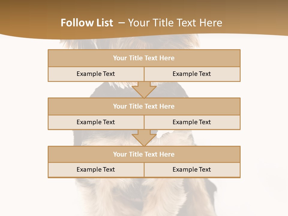 Domestic White Front PowerPoint Template